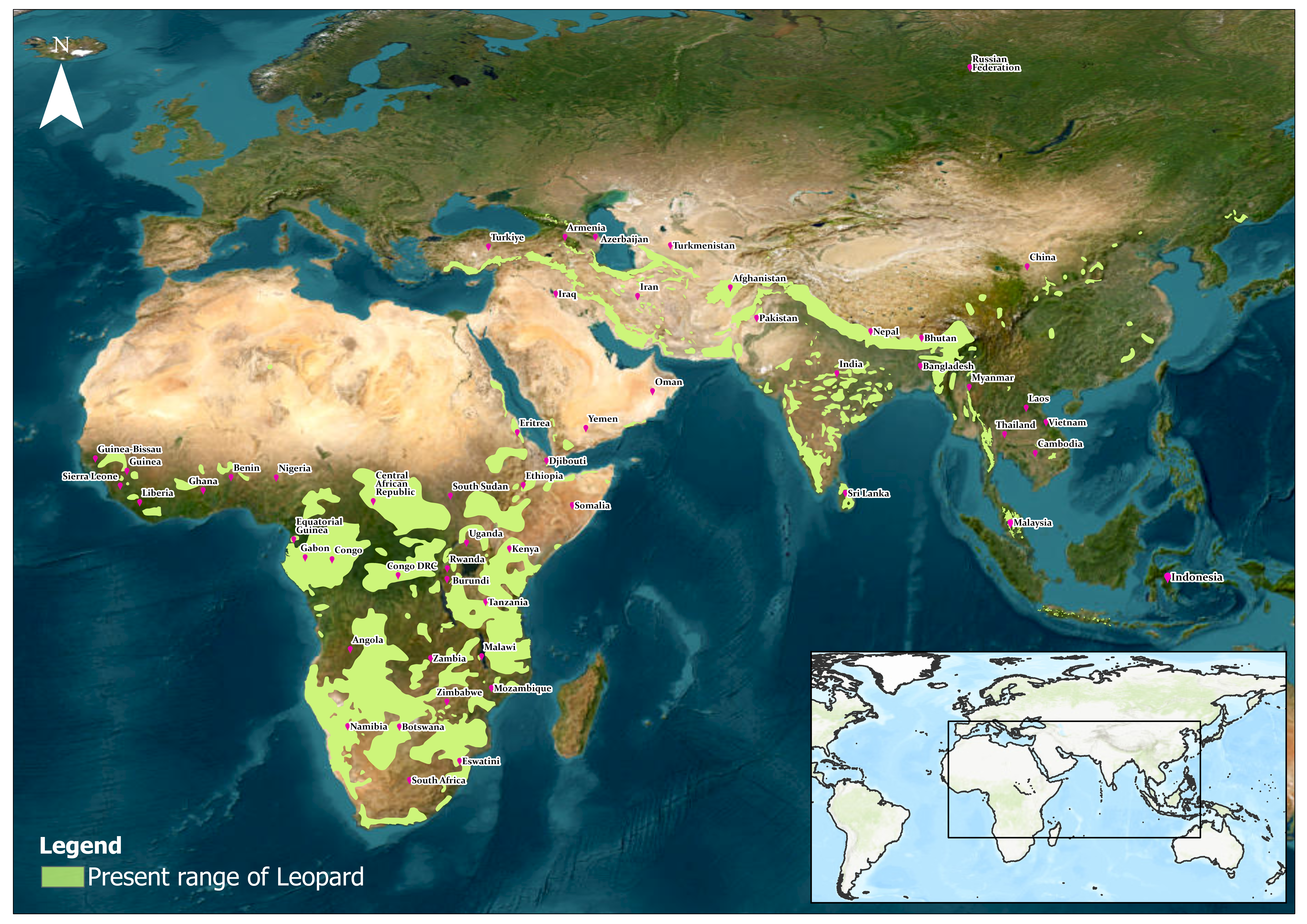 Present Distribution of Leopards